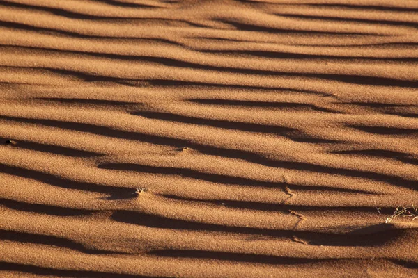 Sand Dunes Southwest — Stockfoto
