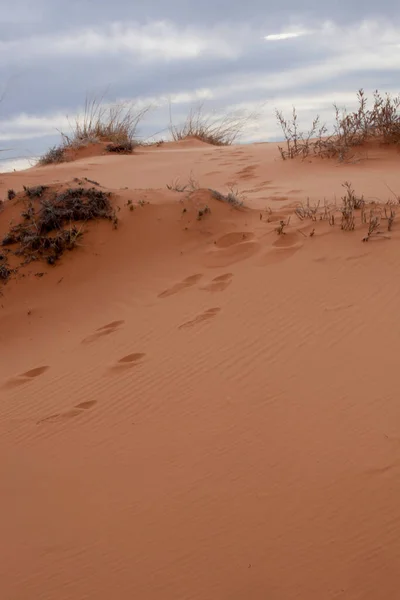 Sand Dunes Southwest — Zdjęcie stockowe