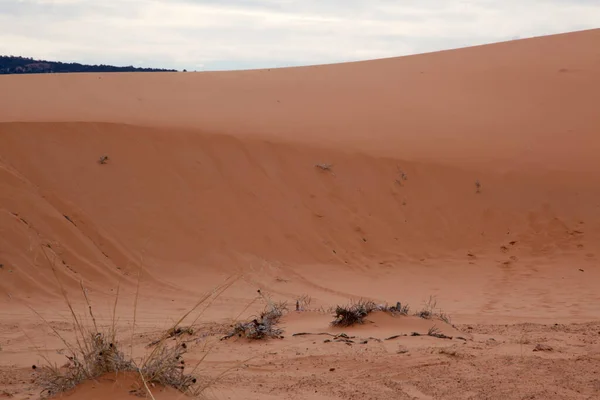 Sand Dunes Southwest — 图库照片