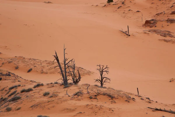 Sand Dunes Southwest — Fotografia de Stock