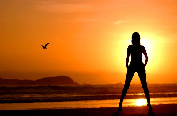 Tramonto in Perù - sagoma contorno del modello di montagna e gabbiano - glorioso luminoso splendido alone sole dorato satura l'immagine con caldo e benessere - sensazione di libertà e felicità - g — Foto Stock