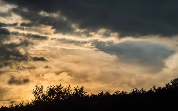 Гарний захід сонця в Єні влітку з лінією дерева спереду, копіюйте простір. — стокове фото