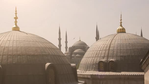 Blue Mosque from Santa Sofia — Stock Video