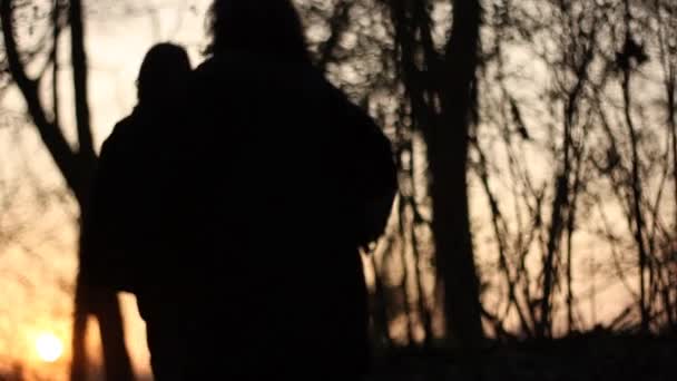 Dos personas caminando en un bosque — Vídeo de stock