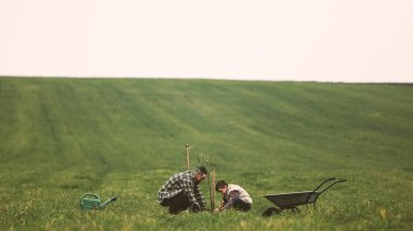 Baba ve oğul ağaç dikiyorlar.