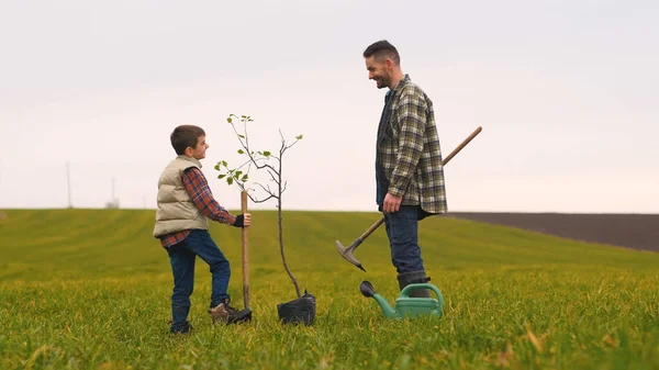 Dad His Little Son Planting Tree Field — Stok Foto
