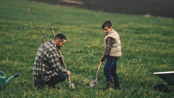 Man His Little Son Planting Tree Field — kuvapankkivalokuva