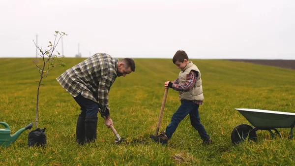 Friendly Family Planting Tree Green Field — kuvapankkivalokuva
