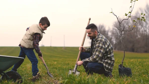 Dad Son Planting Tree Together – stockfoto