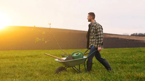 Handsome Farmer Carrying Wheelbarrow Green Field — kuvapankkivalokuva