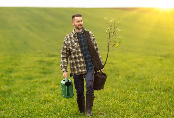 Handsome Man Going Plant Tree Field — kuvapankkivalokuva