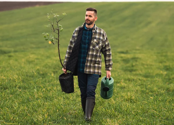 Handsome Man Going Plant Tree Field — Stok Foto