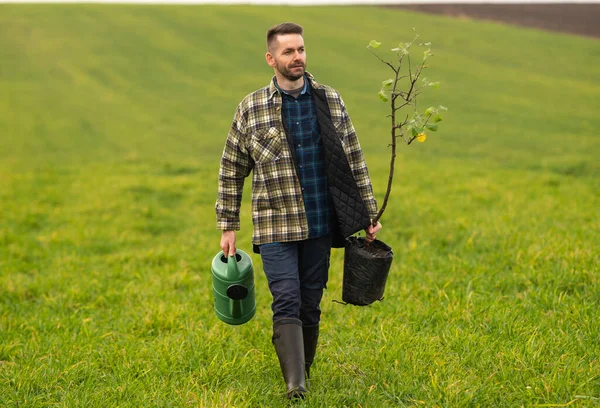 Handsome Man Going Plant Tree Field — Stok Foto