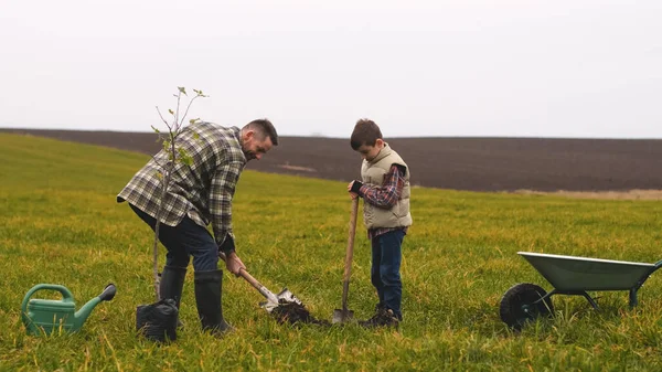 Dad His Little Son Planting Tree Field Stok Gambar