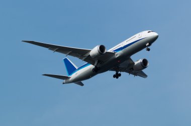 Boeing 787-8