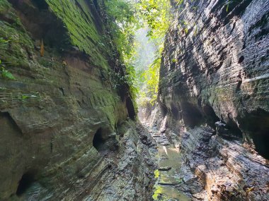 Alir mağarasına giden yol. Bandarban tepelerinden mağaraya giden gizli bir yol. Tepelerden geçişi daralt.