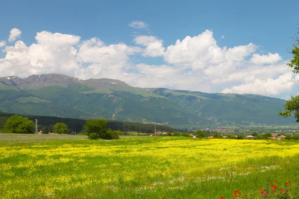 Kalofer kenti yakınlarındaki doğanın manzarası, Stara Planina, Bulgaristan