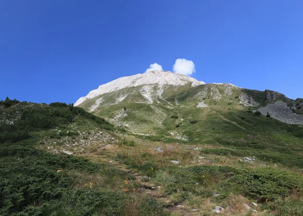 Puncak Vihren, Pegunungan Pirin, Bansko, Bulgaria, Eropa Timur — Stok Foto