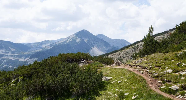 Pirin mountain National Park, Bulgaria — Stock Photo, Image