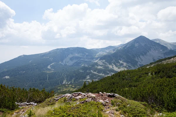 Parco Nazionale Pirin Mountain, Bulgaria — Foto Stock