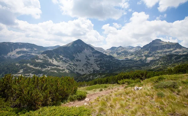 Parc national de la montagne Pirin, Bulgarie — Photo