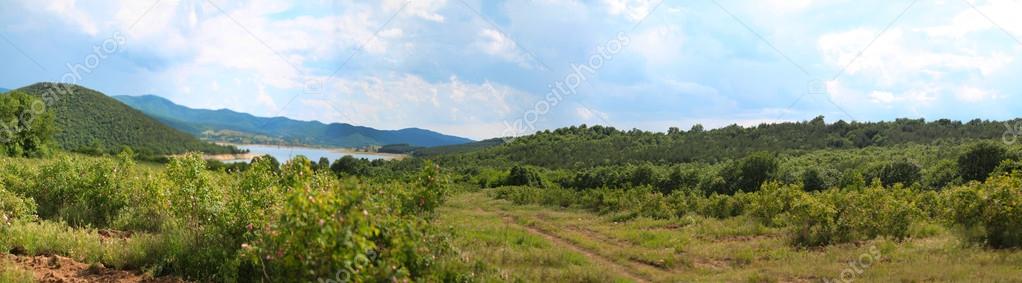 Landscape panorama of Rose Valley, Bulgaria