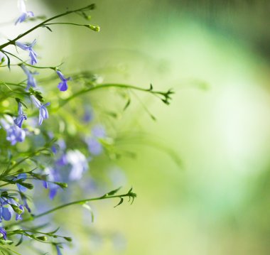Tasarımın için çiçek arkaplanı