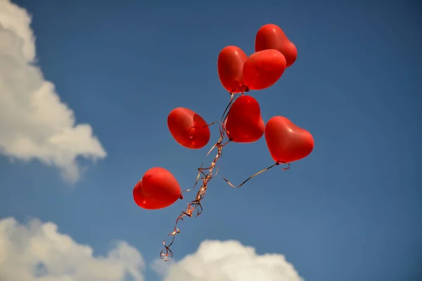 red heart shaped balloons floating in the sky. valentines day symbol