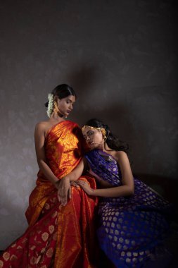 two beautiful indian woman in traditional Indian handifraft sarees