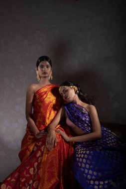 two beautiful indian woman in traditional Indian handifraft sarees