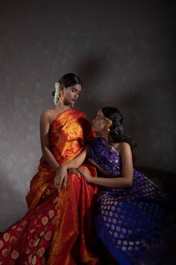 two beautiful indian woman in traditional Indian handifraft sarees