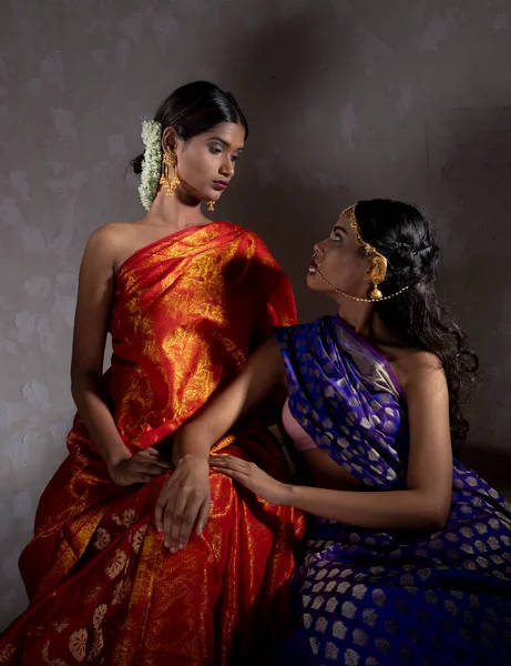Dwie Piękne Indiańskie Kobiety Tradycyjnych Indyjskich Sari Handifraft — Zdjęcie stockowe