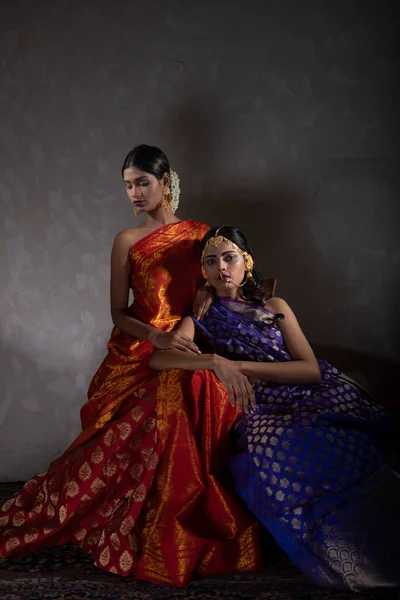 Dos Hermosa Mujer India Tradicional Indio Handifraft Sarees — Foto de Stock