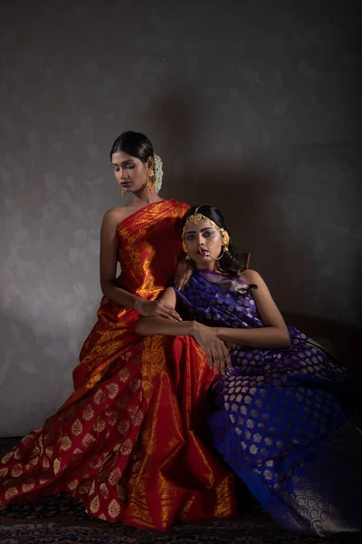 Two Beautiful Indian Woman Traditional Indian Handifraft Sarees — стоковое фото