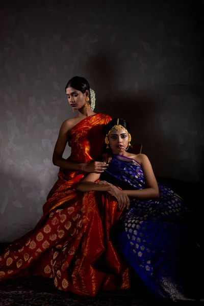 Two Beautiful Indian Woman Traditional Indian Handifraft Sarees — стоковое фото