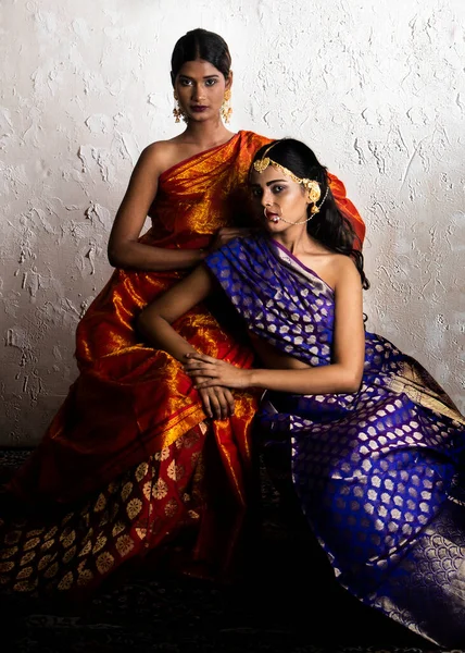 Deux Belle Femme Indienne Dans Les Sarees Artisanales Indiennes Traditionnelles — Photo