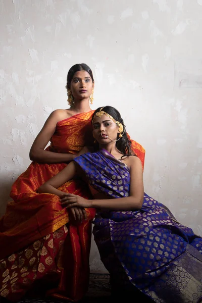 Two Beautiful Indian Woman Traditional Indian Handifraft Sarees — Stock Photo, Image