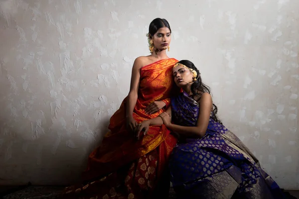 Two Beautiful Indian Woman Traditional Indian Handifraft Sarees — Stock Photo, Image