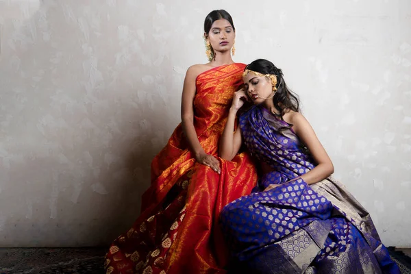 Two Beautiful Indian Woman Traditional Indian Handifraft Sarees — Fotografie, imagine de stoc