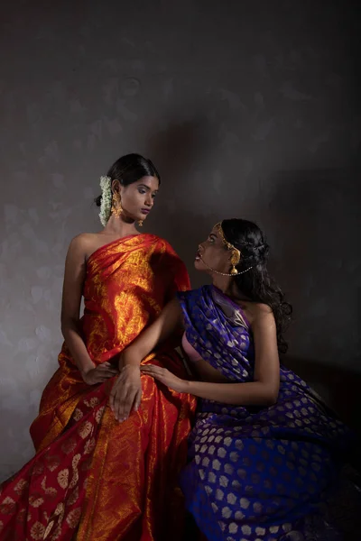 Két Gyönyörű Indiai Hagyományos Indiai Kézműves Száriban — Stock Fotó