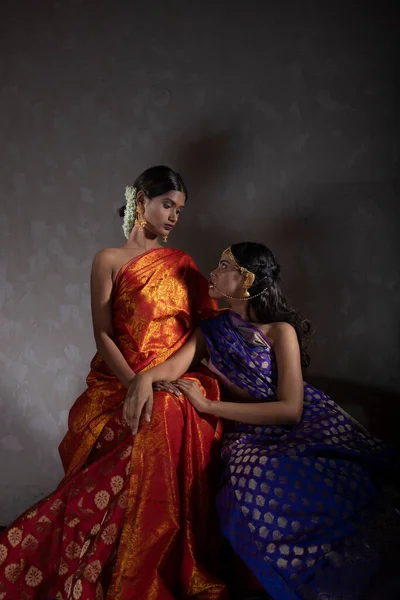 Two Beautiful Indian Woman Traditional Indian Handifraft Sarees — Zdjęcie stockowe