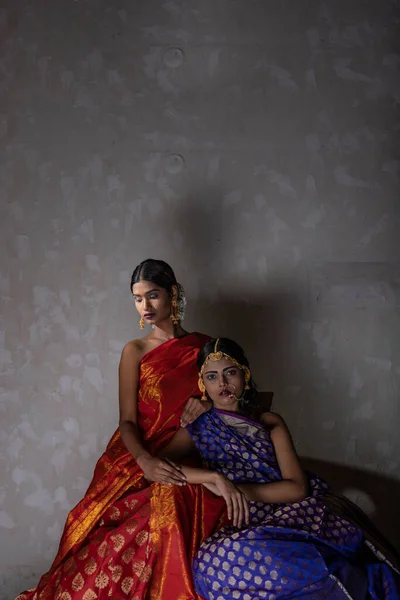 Two Beautiful Indian Woman Traditional Indian Handifraft Sarees — Stock Photo, Image