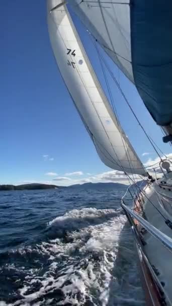 Plachtění se všemi plachtami se silnými větry na přídi — Stock video