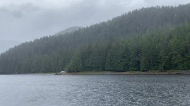 Dağlarda sağanak yağış körfezdeki suyu vuruyor, Roscoe Körfezi, British Columbia, Kanada