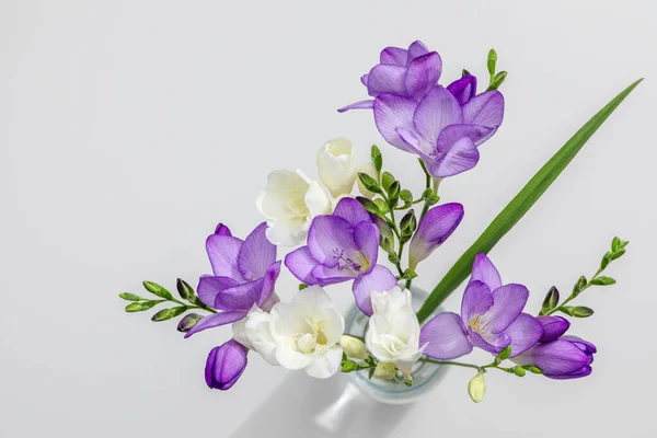 淡淡的紫丁香和白色的菊花在白色背景下的特写 图库图片