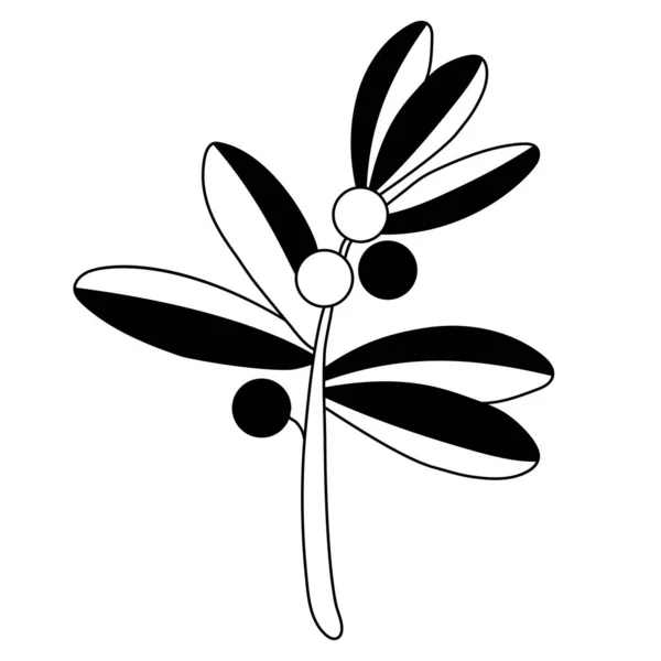Branche Plante Avec Des Baies Rondes Des Feuilles Illustration Vectorielle — Image vectorielle