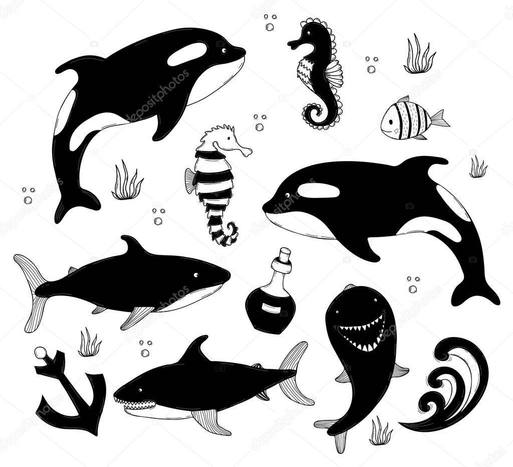 Set of sea animals. Cute big whale killer whale and shark, seahorse and dolphin, anchor and seaweed. Vector outline illustrations, in style of hand-drawing linear doodles for design and decor