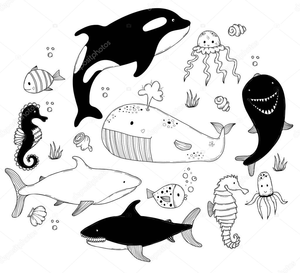 Set of sea animals. Cute big whale killer whale and shark, seahorse and dolphin, jellyfish and squid, fish and shells. Vector outline illustrations in hand-drawing linear doodles for design and decor