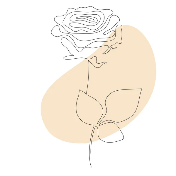 Vacker Blomma Rose Line Konst Vektorillustration Kontinuerlig Ritning Abstrakt Minimal — Stock vektor