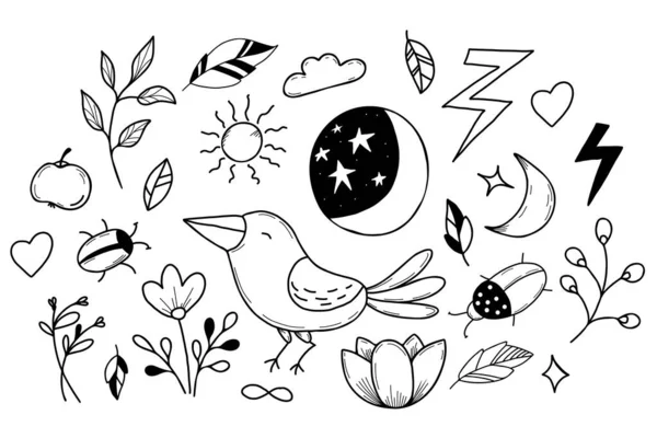 Набор магических знаков, жук и ворона, цветок и луна со звёздным небом в ручной линейной каракули стиле. Векторная иллюстрация. Изолированные элементы. — стоковый вектор